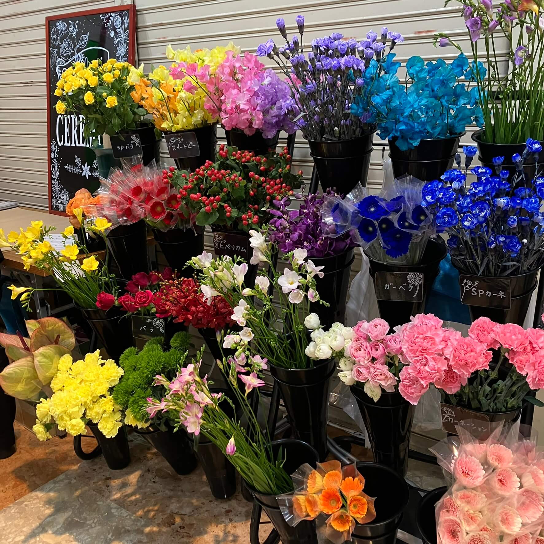 切り花一本100円